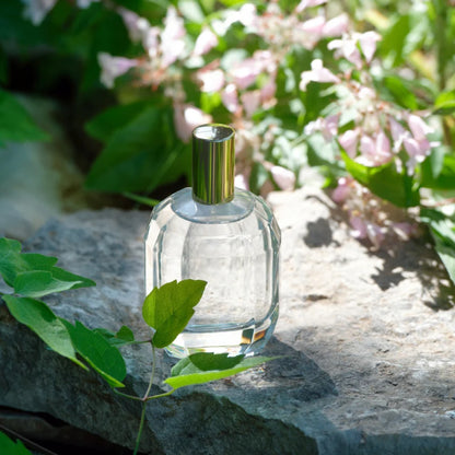 Perfume Ambientador 100 ml Jardin Secret