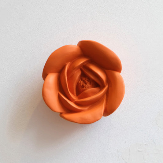 Flor Primavera Laranja